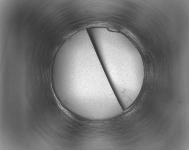 X0000068831049200605191854