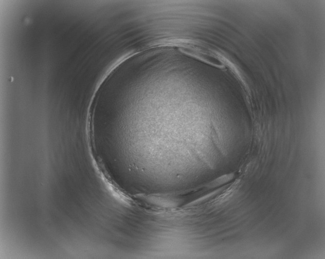 X0000068831050200605191854