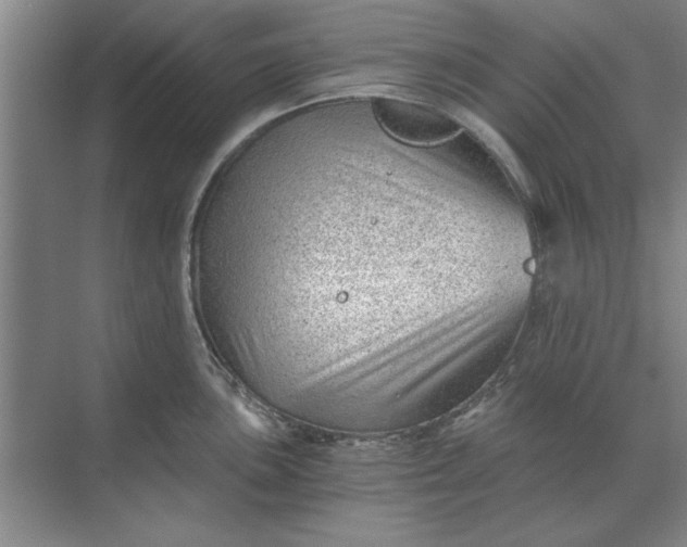 X0000068831051200605191854