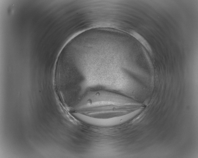 X0000068831052200605191854