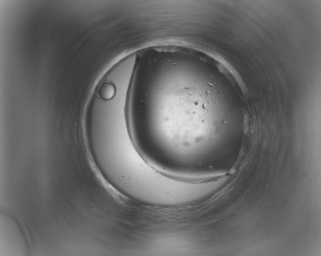 X0000068831054200605191854