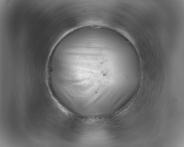 X0000068831056200605191854