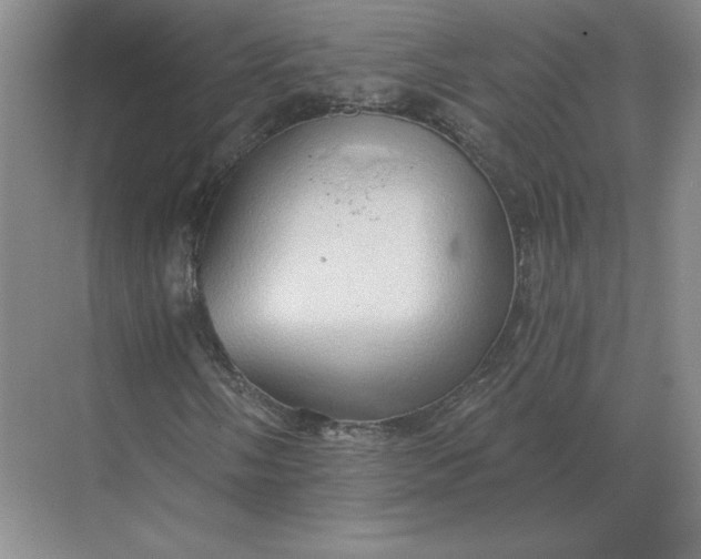 X0000068831058200605191853