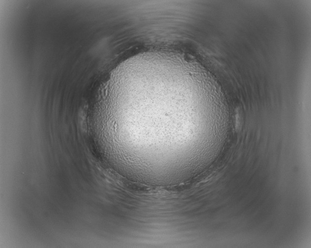 X0000068831059200605191853