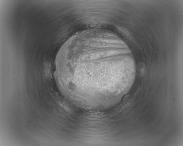 X0000068831060200605191853