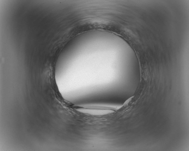 X0000068831061200605191853