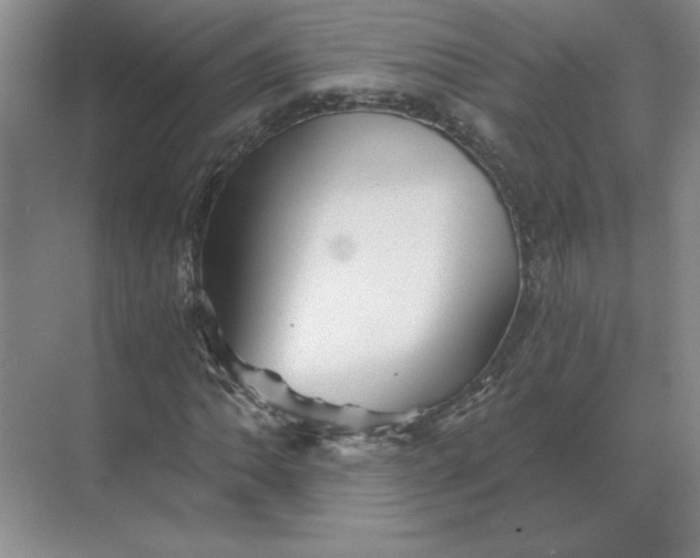 X0000068831062200605191853