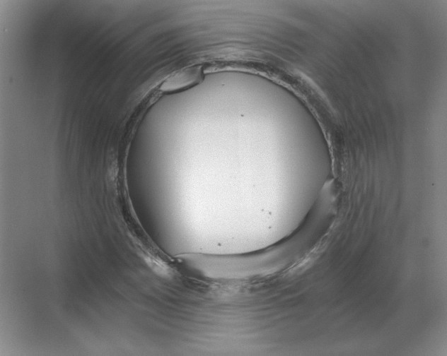 X0000068831065200605191853