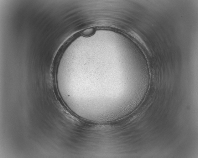 X0000068831068200605191853