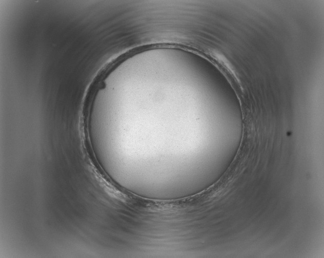 X0000068831072200605191853