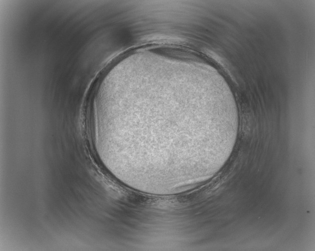 X0000068831074200605191853