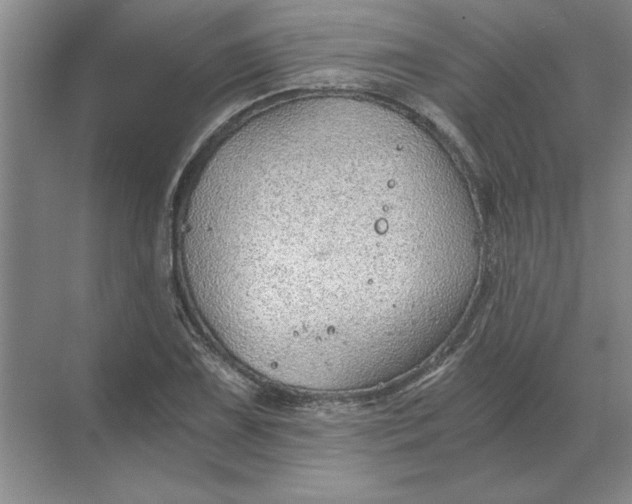 X0000068831075200605191853