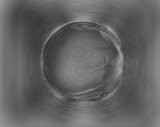 X0000068831077200605191853