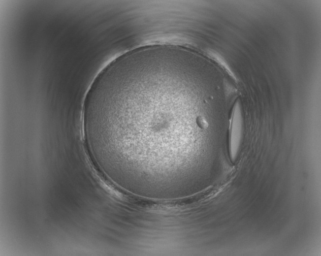 X0000068831079200605191853