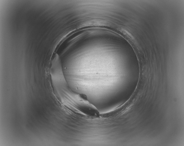 X0000068831081200605191853