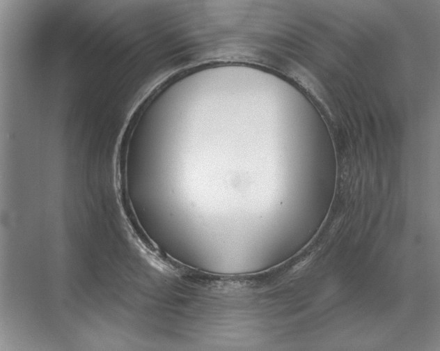 X0000068831082200605191853