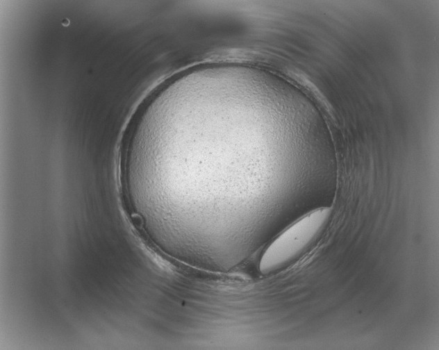 X0000068831083200605191853