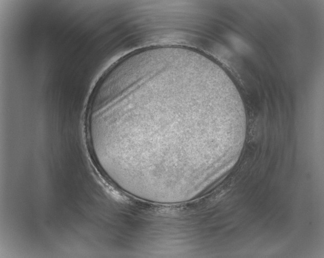 X0000068831086200605191853