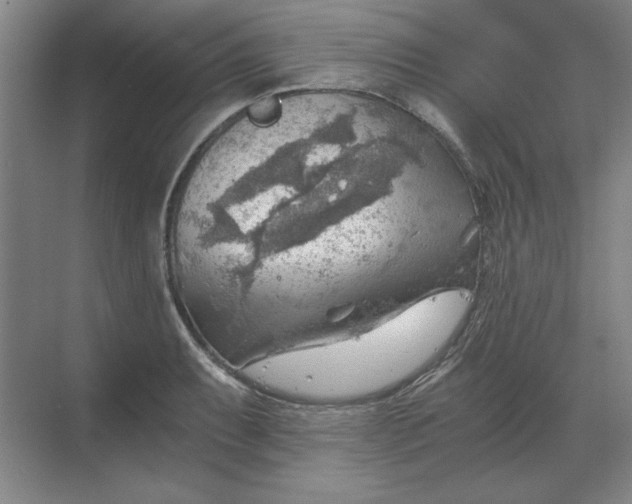 X0000068831087200605191853