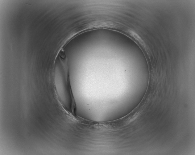 X0000068831089200605191853