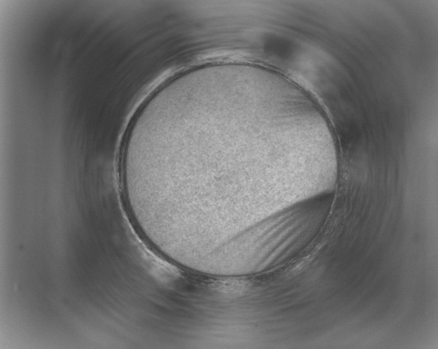 X0000068831090200605191853