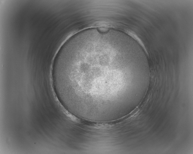 X0000068831091200605191852