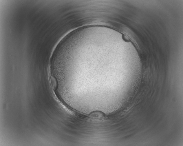 X0000068831092200605191852