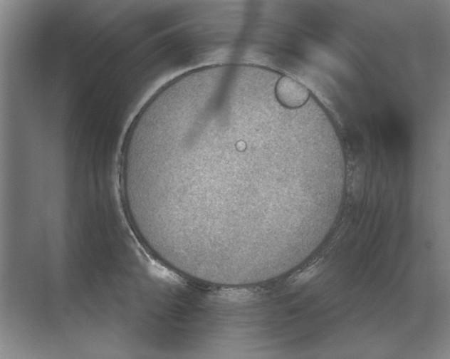 X0000068831094200605191852