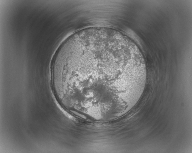 X0000068831095200605191852