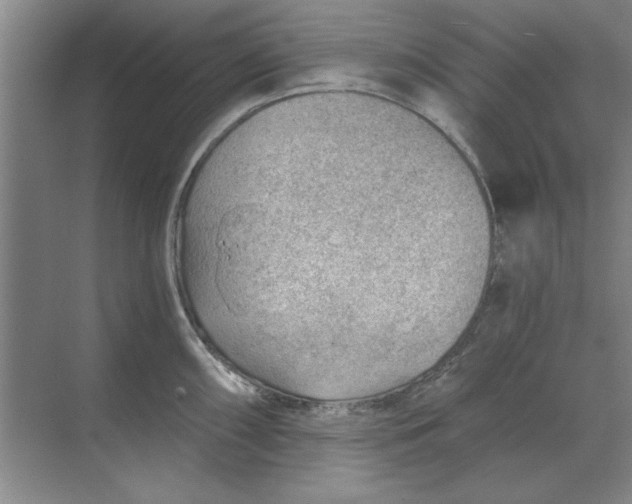 X0000068831098200605191852