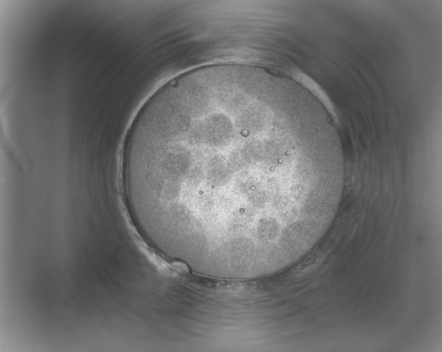 X0000068831099200605191852