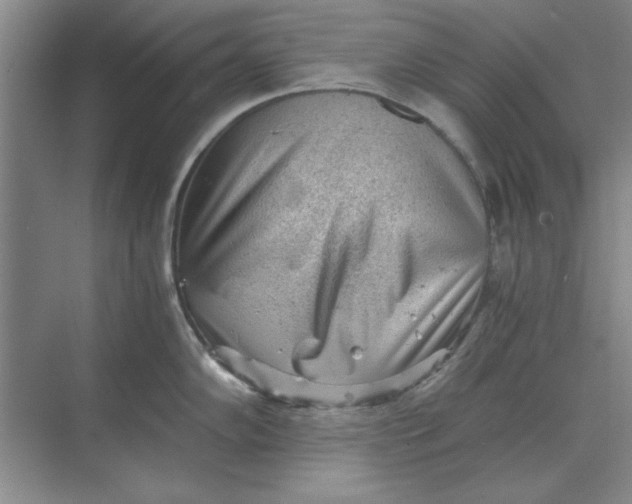 X0000068831102200605191852