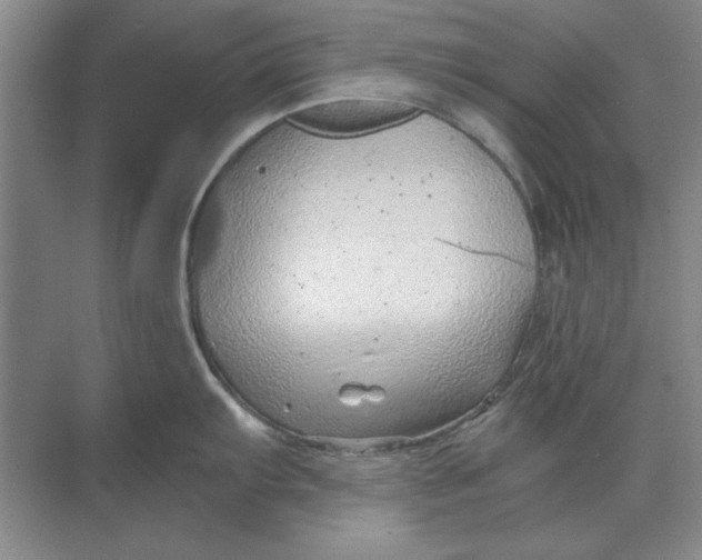 X0000068831103200605191852