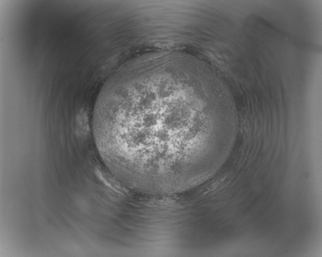 X0000068831106200605191851