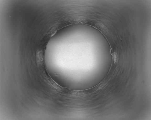 X0000068831107200605191852