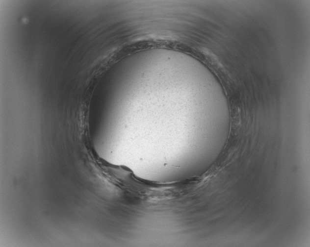 X0000068831110200605191852