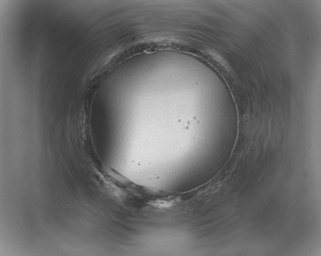 X0000068831111200605191852