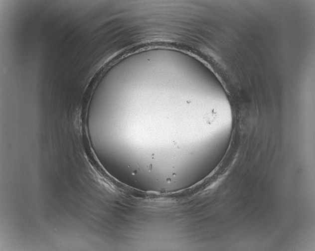 X0000068831113200605191852