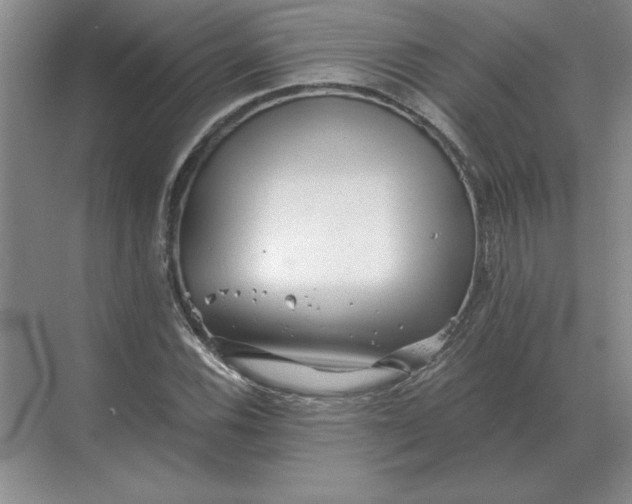 X0000068831116200605191852