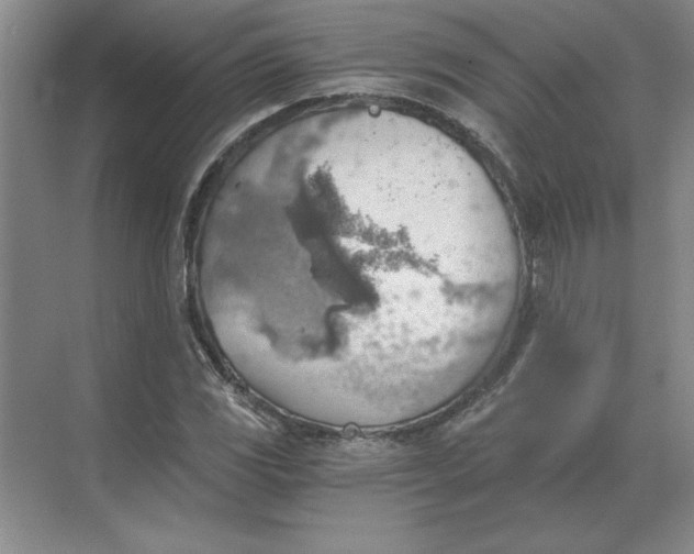 X0000068831117200605191852