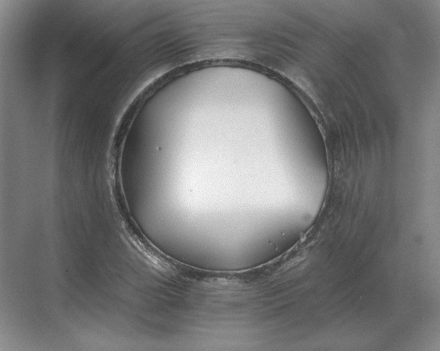 X0000068831119200605191852