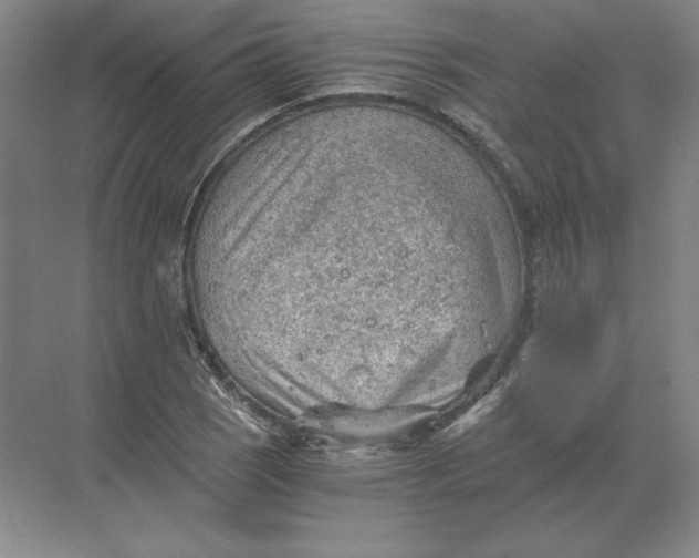 X0000068831121200605191852