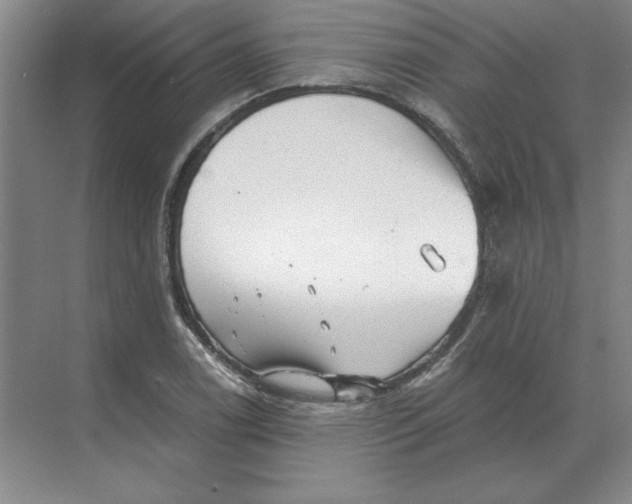 X0000068831122200605191852