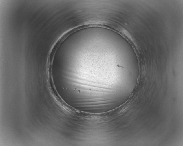 X0000068831124200605191852