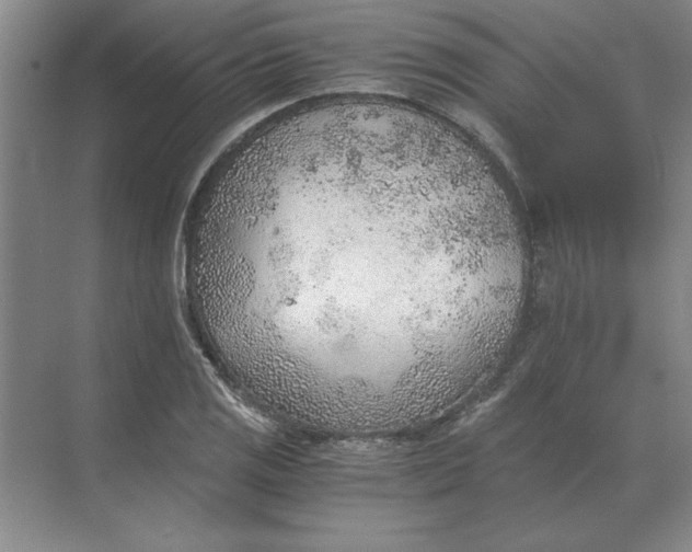 X0000068831125200605191852