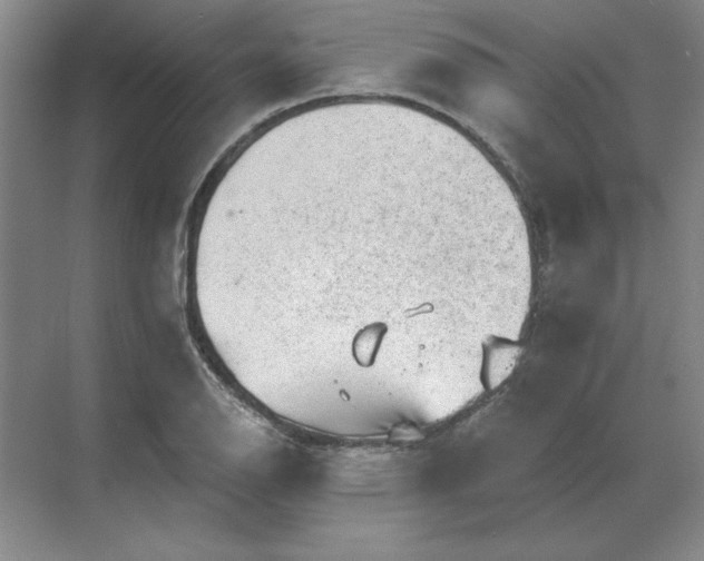 X0000068831126200605191852