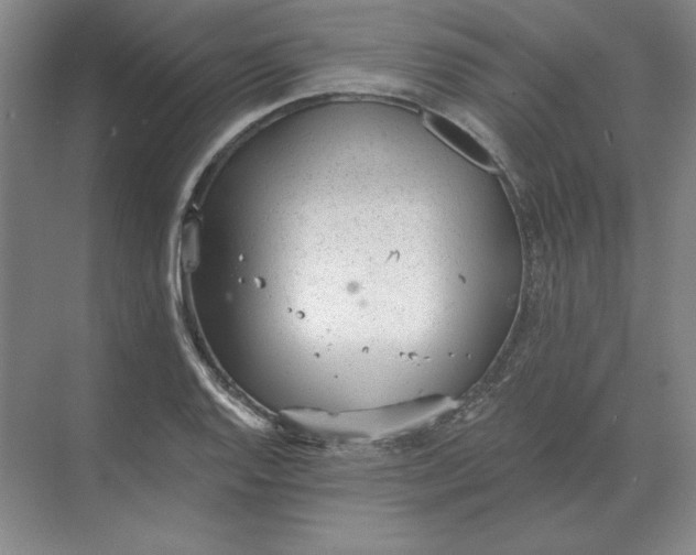 X0000068831128200605191852