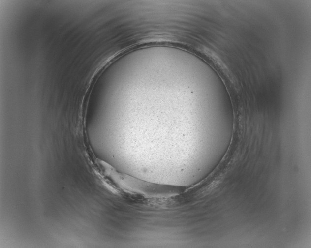 X0000068831129200605191852