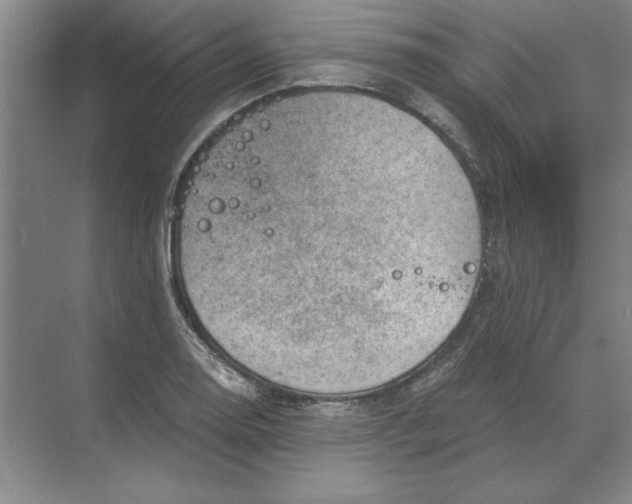 X0000068831130200605191852