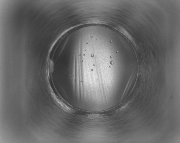 X0000068831132200605191852